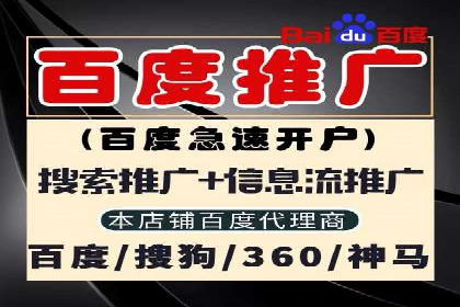 案例剖析：关键词竞价排名成功之道